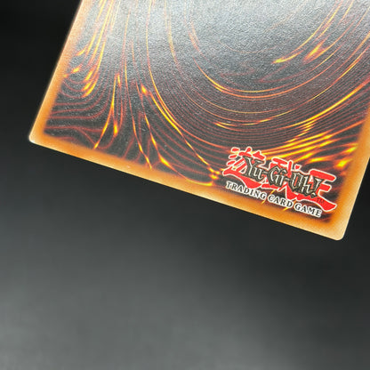 遊戯王　サイバー・シャドー・ガードナー/レリーフ/ドイツ語/1st/EU