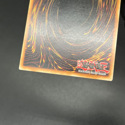 遊戯王　ハネクリボー ＬＶ１０/レリーフ/イタリア/EU版