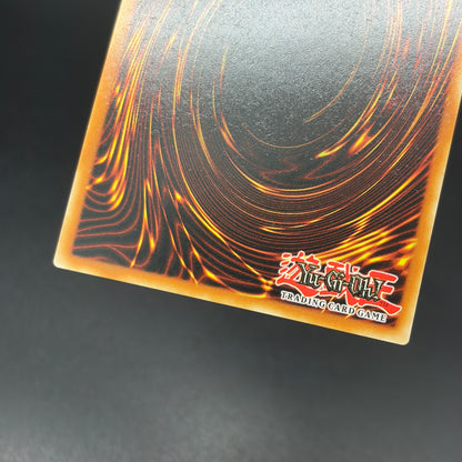 遊戯王　Ｍ∀ＬＩＣＥ＜Ｑ＞ＷＨＩＴＥ ＢＩＮＤＥＲ/コレクターズ/英語/1st/EU