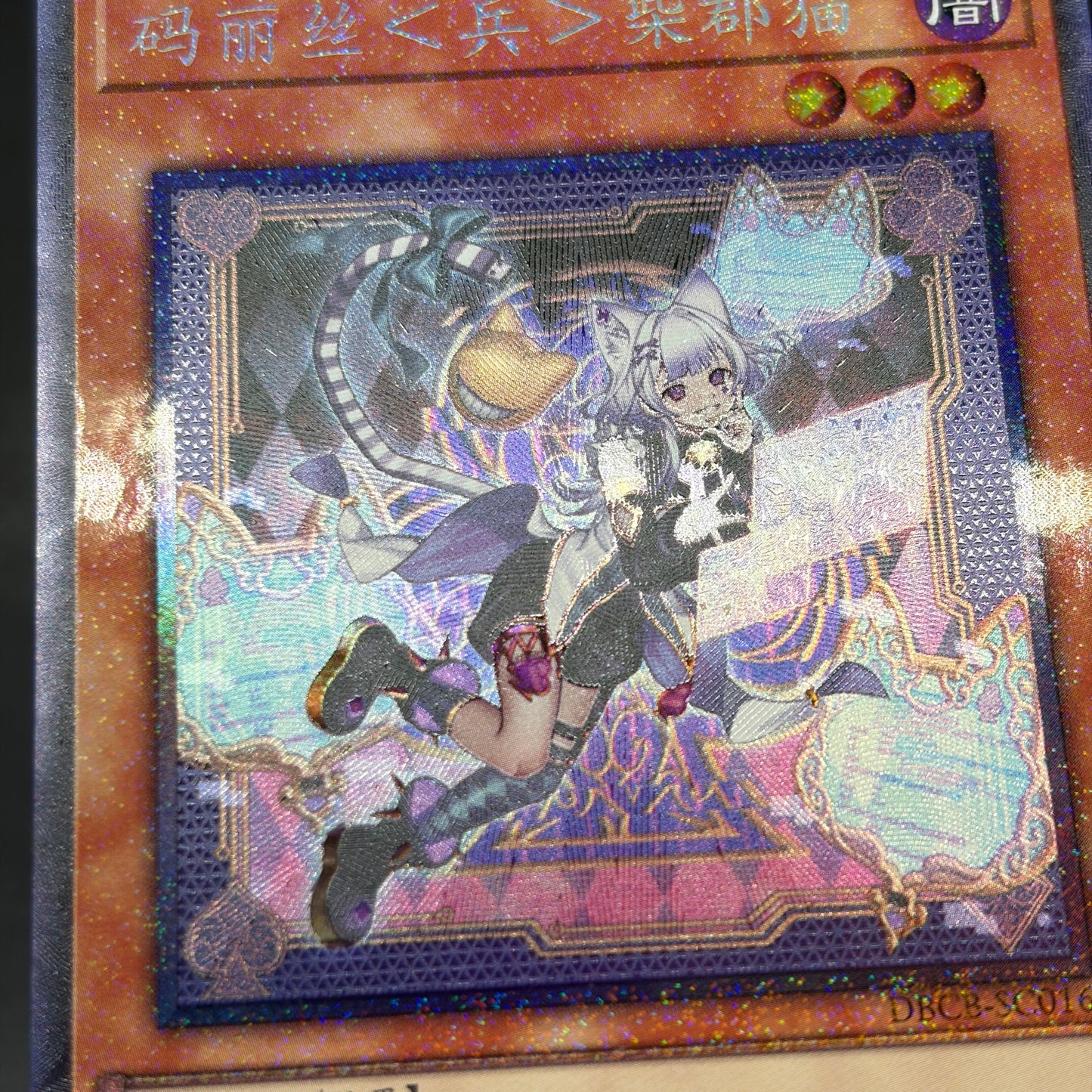 遊戯王　Ｍ∀ＬＩＣＥ＜Ｐ＞Ｃｈｅｓｈｉｒｅ Ｃａｔ/コレクターズ/中国語