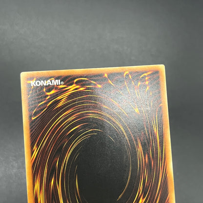 遊戯王　闇魔界の竜騎士 ダークソード/レリーフ/ドイツ語/EU