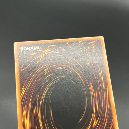 遊戯王　天罰/レリーフ/ドイツ/EU版