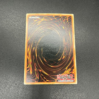 遊戯王　ドラゴンメイド・ナサリー/シークレット/ドイツ/1st/EU