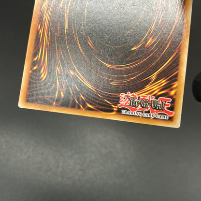 遊戯王　聖殿の水遣い/コレクターズ/英語/1st/EU版