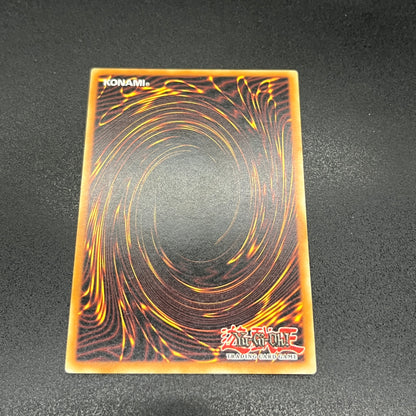 遊戯王　サイバー・フェニックス/レリーフ/イタリア/EU版