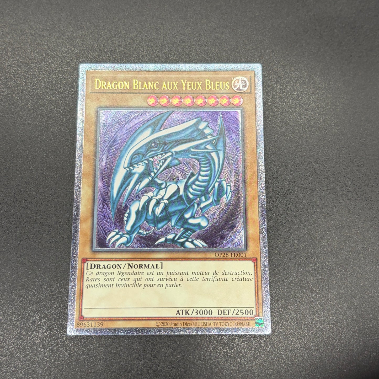 遊戯王　青眼の白龍/レリーフ/フランス語/EU版