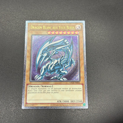 遊戯王　青眼の白龍/レリーフ/フランス語/EU版