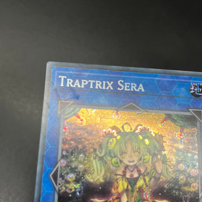 遊戯王　セラの蟲惑魔/シークレット/英語/1st/EU版