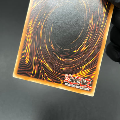 遊戯王　魔法の国の王女－ピケル/レリーフ/ドイツ/EU版