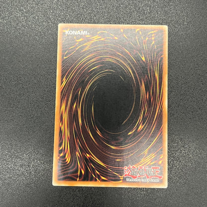 遊戯王　ダーク・ホルス・ドラゴン/レリーフ/ドイツ/1st/EU版