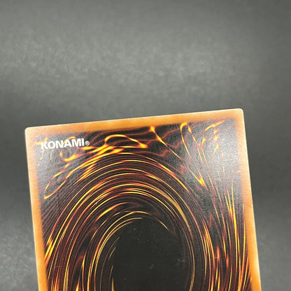 遊戯王　魔法の国の王女−クラン/レリーフ/ドイツ語/EU版