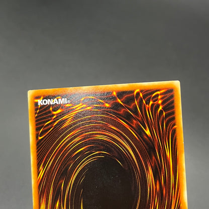 遊戯王　ホーリー・ナイト・ドラゴン/シークレット/英語