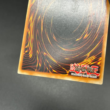 遊戯王　Ｄ－ＨＥＲＯ ドレッドガイ/レリーフ/イタリア語/1st/EU