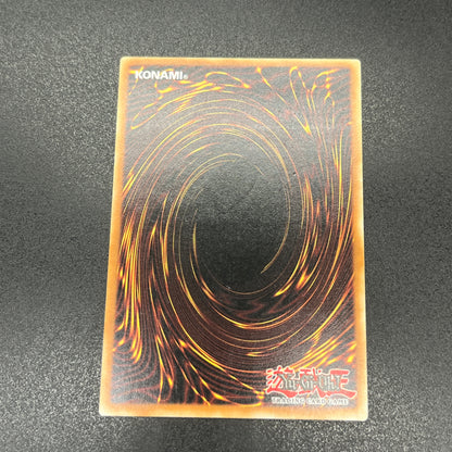 遊戯王　伝説の黒帯/レリーフ/ドイツ語/1st/EU版