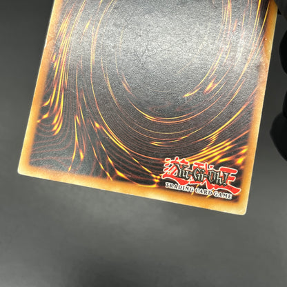 遊戯王　強引な安全協定/レリーフ/ドイツ語/EU版