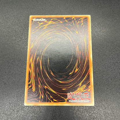 遊戯王　マスターモンク/レリーフ/ドイツ語/1st/EU版