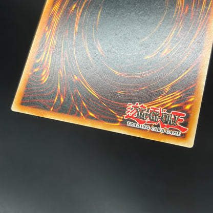 遊戯王　Ectoplasmic Fortification/コレクターズ/英語/1st/EU版