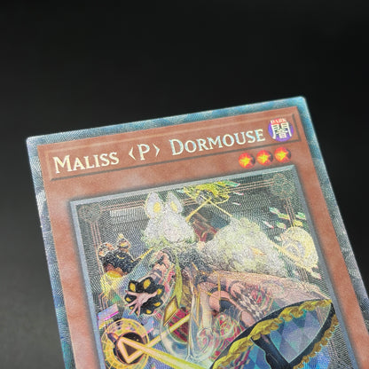 遊戯王　Ｍ∀ＬＩＣＥ＜Ｐ＞Ｄｏｒｍｏｕｓｅ/コレクターズ/英語/1st/EU