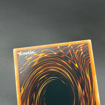 遊戯王　トゥーン・キングダム/レリーフ/英語/EU版