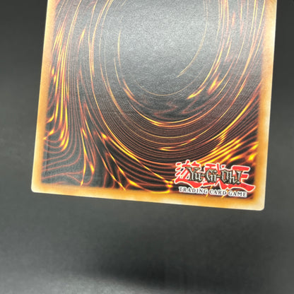 遊戯王　メタファイズ・ホルス・ドラゴン/レリーフ/英語/1st/EU版