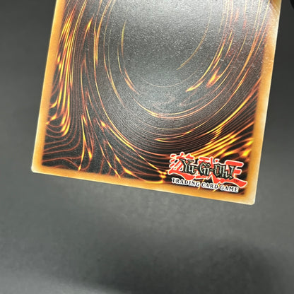 遊戯王　エクソシスター・パークス/コレクターズ/ドイツ/1st/EU版