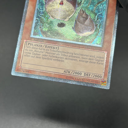 遊戯王　ナチュル・バンブーシュート/レリーフ/ドイツ/1st/EU版