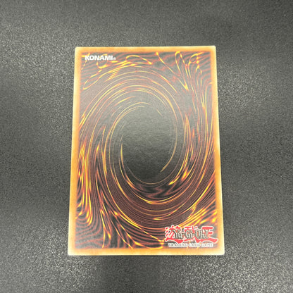 遊戯王　ドラゴンメイド・チェイム/シークレット/英語/1st