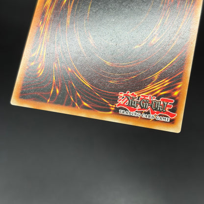 遊戯王　Ｍ∀ＬＩＣＥ＜Ｐ＞Ｗｈｉｔｅ Ｒａｂｂｉｔ/コレクターズ/英語/1st/EU