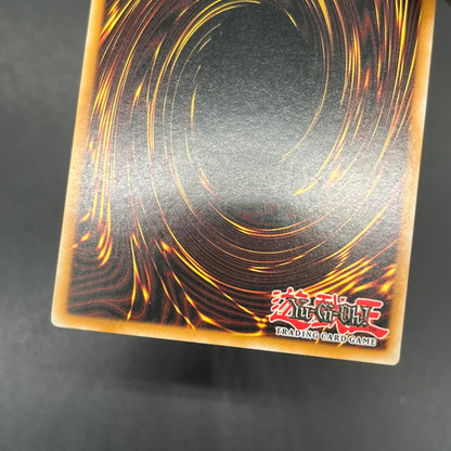 遊戯王　ダーク・グレファー/ウルトラ/英語/北米版