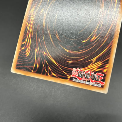 遊戯王　トリックスター・アクアエンジェル/コレクターズ/英語/1st/EU版