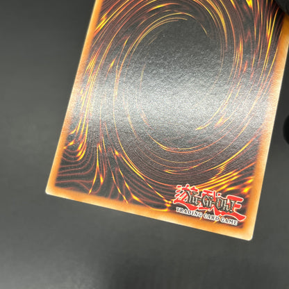 遊戯王　爆導索/レリーフ/ドイツ語/1st/EU版