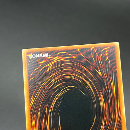 遊戯王　Ｎｏ.１０７ 銀河眼の時空竜/レリーフ/英語/EU版