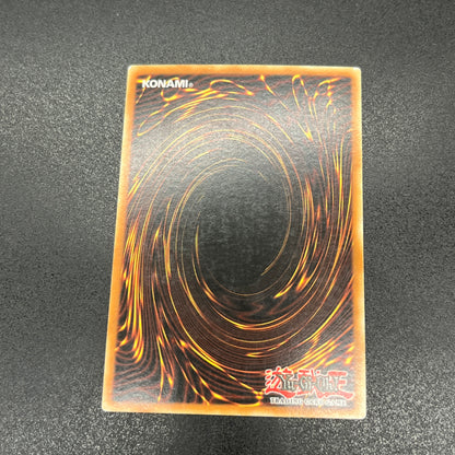 遊戯王　停戦協定/ウルトラ/ドイツ/EU