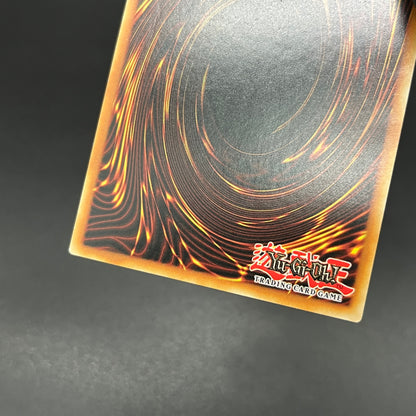 遊戯王　霧の王/レリーフ/英語/EU版