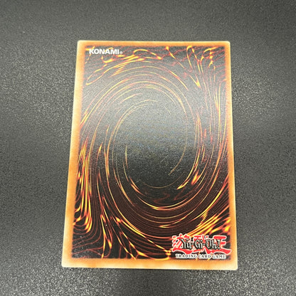 遊戯王　粛声なる竜神サフィラ/クオシク/英語/1st/EU