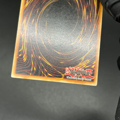 遊戯王　サイバー・プリマ/レリーフ/ドイツ語/1st/EU版