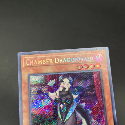 遊戯王　ドラゴンメイド・チェイム/シークレット/英語/1st