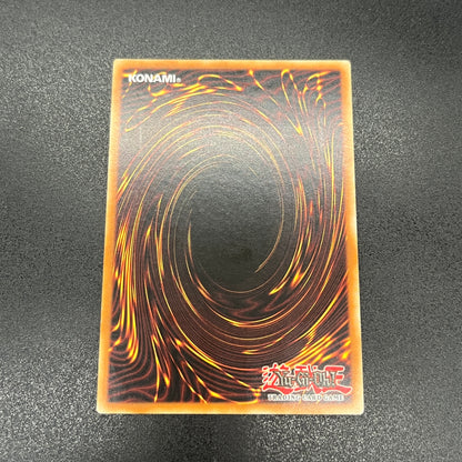 遊戯王　漆黒の魔王 ＬＶ６/レリーフ/ドイツ語/1st/EU