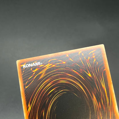 遊戯王　サンダー・エンド・ドラゴン/レリーフ/ドイツ/1st/EU版