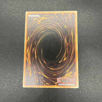 遊戯王　幻魔の殉教者/レリーフ/ドイツ語/EU版