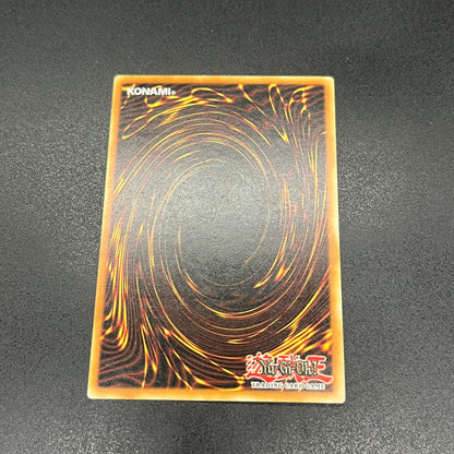 遊戯王　ピケルの魔法陣/レリーフ/ドイツ/EU版