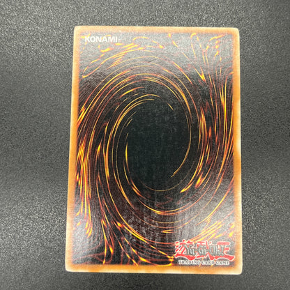 遊戯王　無効/レリーフ/ドイツ