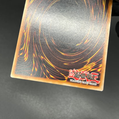 遊戯王　虚無魔人/レリーフ/ドイツ/EU版