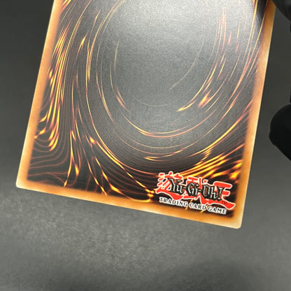 遊戯王　Ｎｏ.１７ リバイス・ドラゴン/レリーフ/ドイツ/1st/EU版