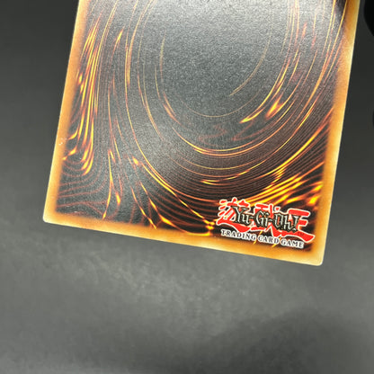 遊戯王　ライトニング・ボルテックス/レリーフ/ドイツ語/EU