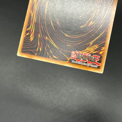 遊戯王　ヒーロー・バリア/レリーフ/ドイツ語/1st/EU版