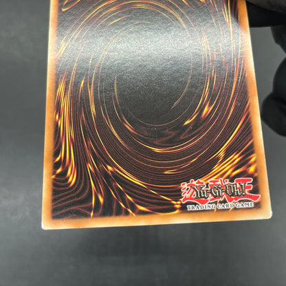 遊戯王　ブラック・マジシャン・ガール/シークレット/ドイツ語/EU