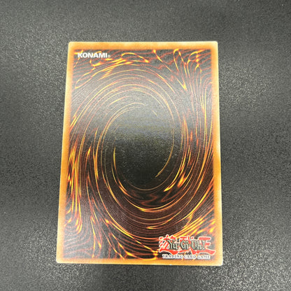 遊戯王　エクソシスター・パークス/コレクターズ/ドイツ/1st/EU版