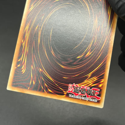 遊戯王　ドラゴンメイド・チェイム/シークレット/英語/1st