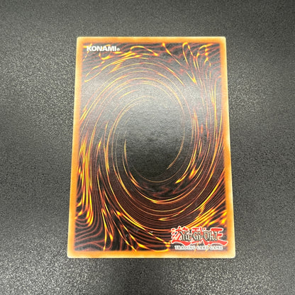 遊戯王　進化する翼/レリーフ/ドイツ語/EU版